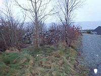 PB290092.JPG