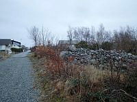 PB290090.JPG